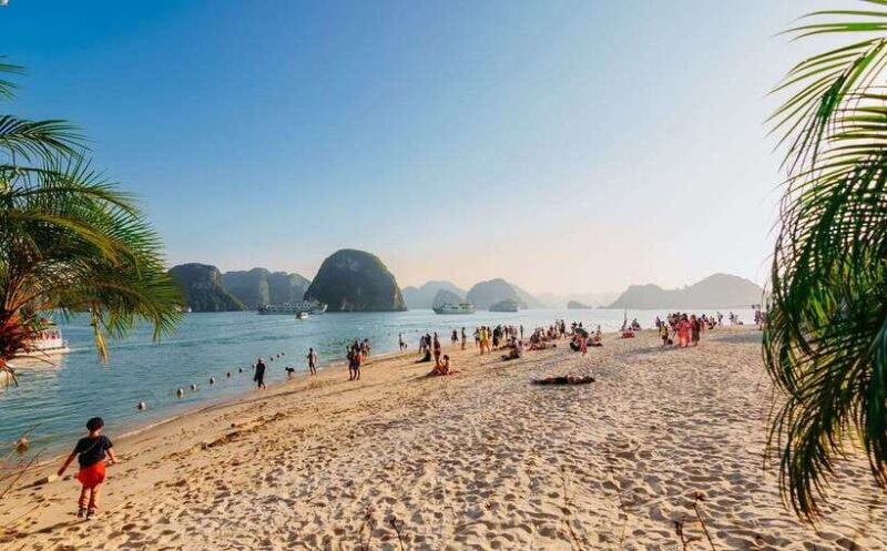 Ha Long Bay Day Trip With Best Price - Pricing Details and Booking Options