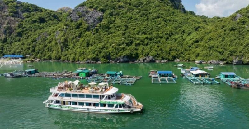 Ha Noi : Lan Ha Bay Day Cruise With Kayaking - Swimming Tour - Itinerary Highlights