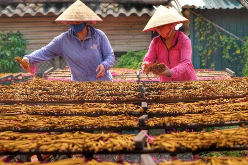 Ha Noi: Perfume Pagoda or Incense Village W Guide Pick up - Pricing and Booking Information