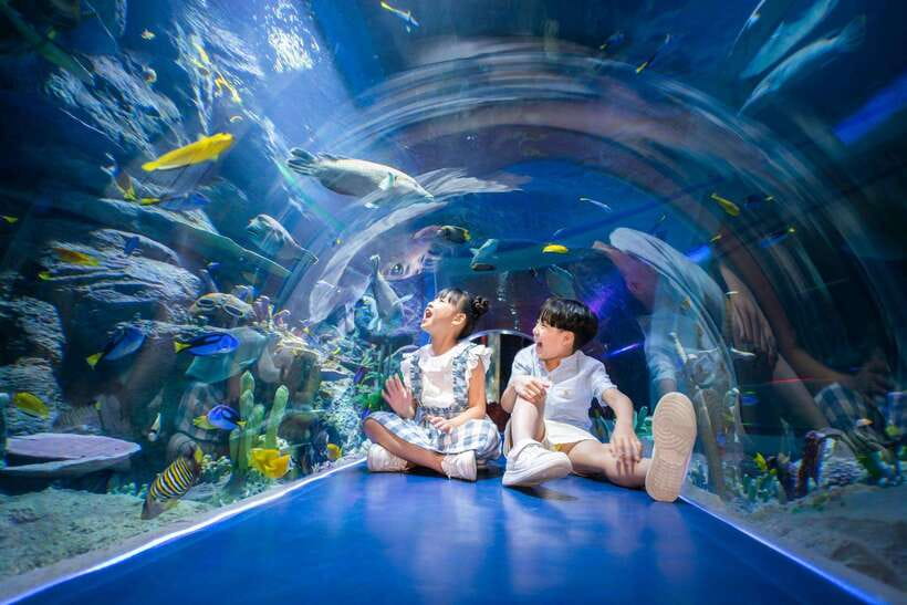 Ha Noi: VinKE and Vinpearl Aquarium Entry Ticket - Ticket Information and Pricing