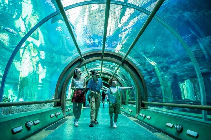Ha Noi: VinKE and Vinpearl Aquarium Entry Ticket - Frequently Asked Questions