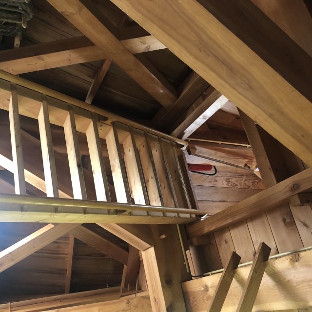 Haarlem: Windmill De Adriaan Guided Tour - Experience Highlights