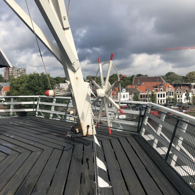 Haarlem: Windmill De Adriaan Guided Tour - Accessibility Details