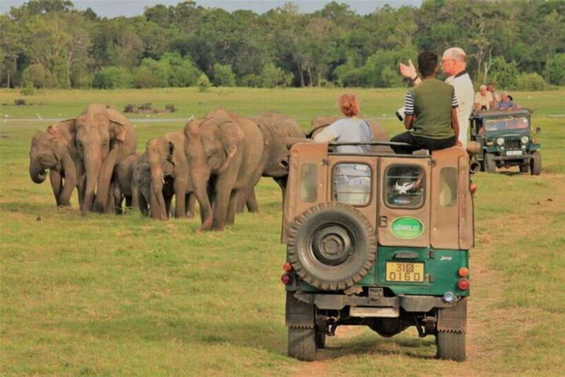 Habarana: Hurulu Eco Park Elephant Jeep Safari - An In-Depth Look at the Hurulu Eco Park Elephant Safari