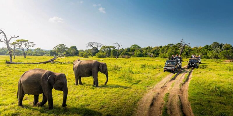 Habarana Village Tour & Safari - Inclusions and Amenities