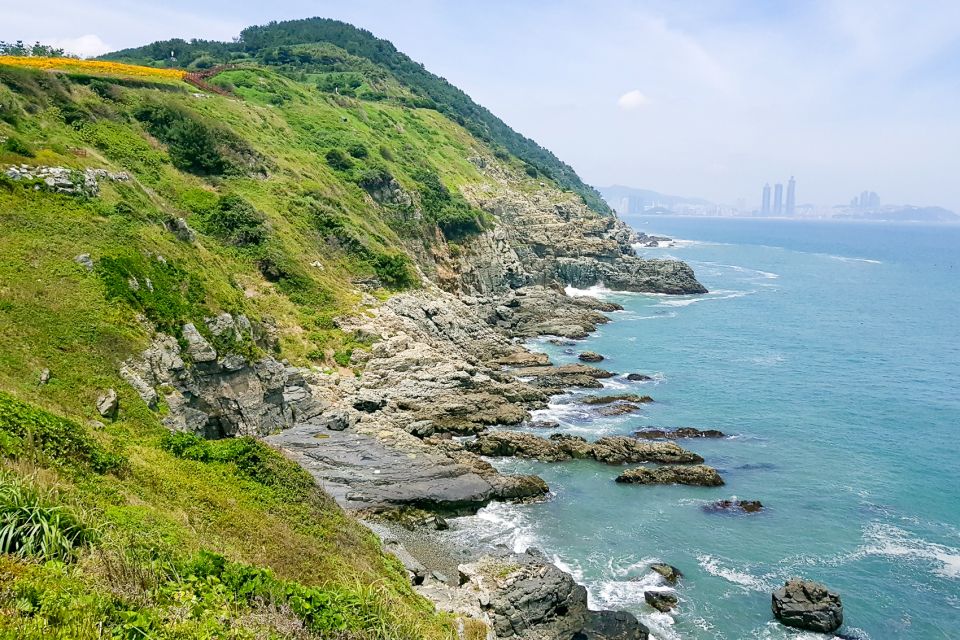 Haedong Yonggungsa Temple, Camellias Island & More - Key Points