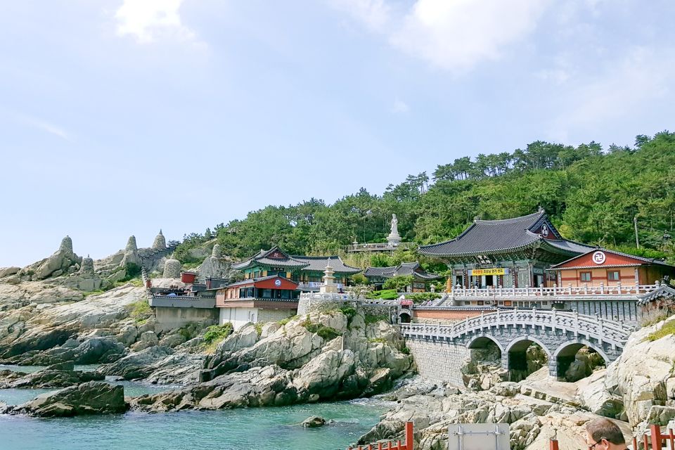 Haedong Yonggungsa Temple, Camellias Island & More - Tour Highlights