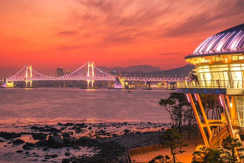 Haedong Yonggungsa Temple, Camellias Island & More - Haeundae Beach and Dongbaek Island