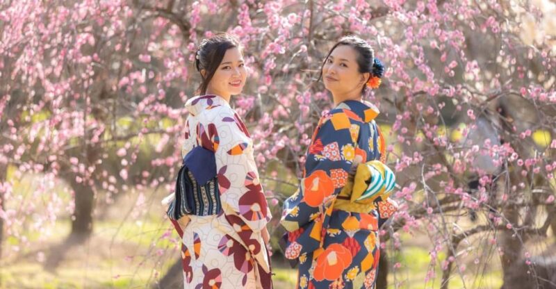 Hagi City: Kimono Experience in the Castle Town - Dressing Assistance Provided