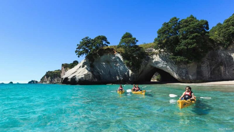 Hahei: Cathedral Cove Kayak Tour - Refreshments included - Authentic Traveler Feedback