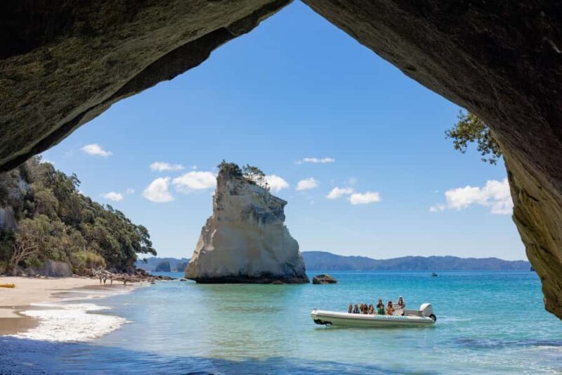Hahei Explorer Cathedral Cove Boat Tour - Why This Tour Stands Out