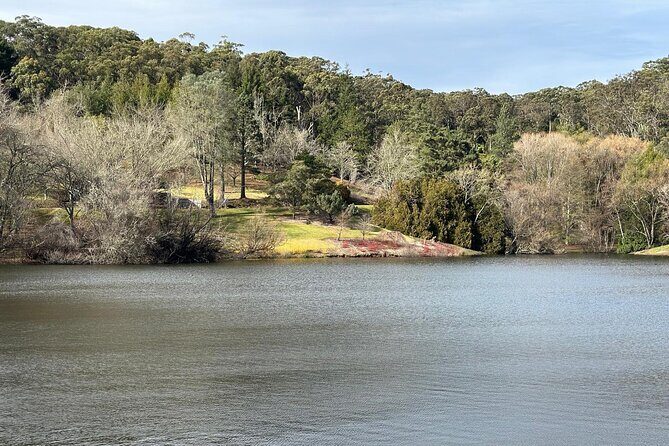 Hahndorf and Hills Wildlife Wonders - A Close Look at the Itinerary