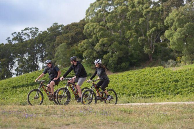 Hahndorf food and wine E-Bike Tour - Hahndorf Food and Wine E-Bike Tour Review: Exploring the Adelaide Hills with a Pedal and a Pour