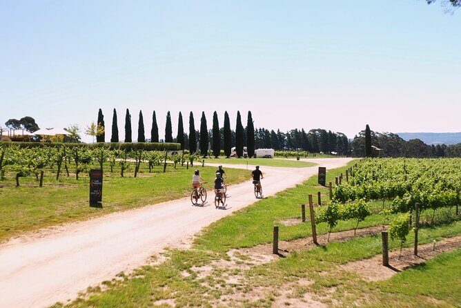 Hahndorf food and wine E-Bike Tour - The Price and Its Value