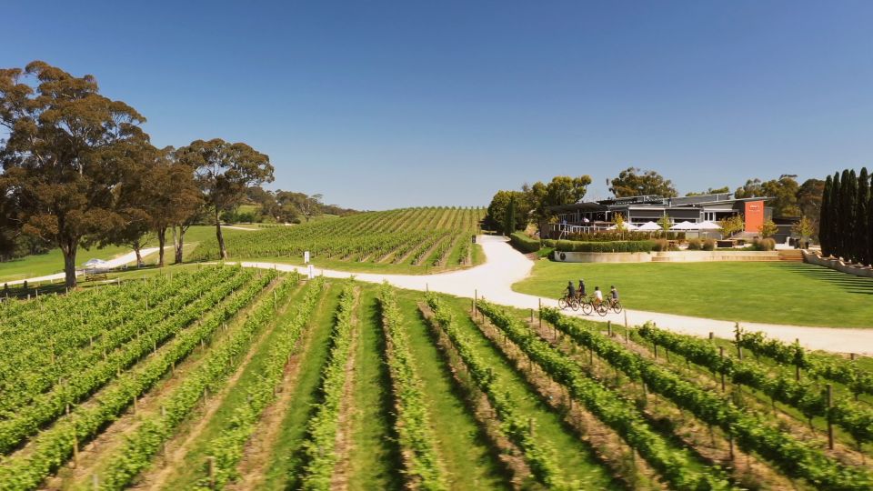 Hahndorf: Gourmet Food & Wine E-Bike Tour - Pricing Details