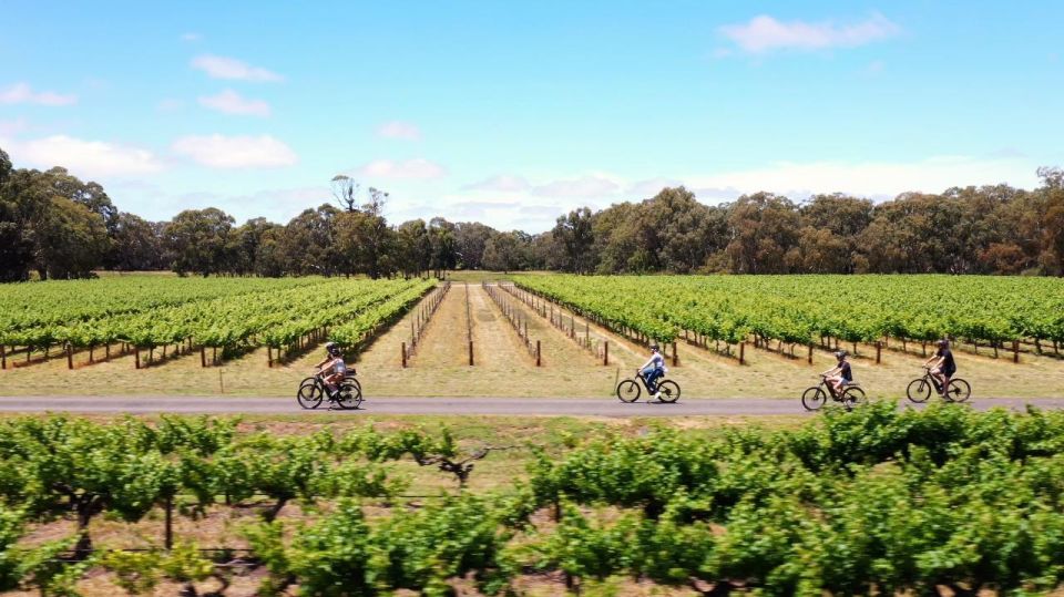 Hahndorf: Gourmet Food & Wine E-Bike Tour - Group Size Limit
