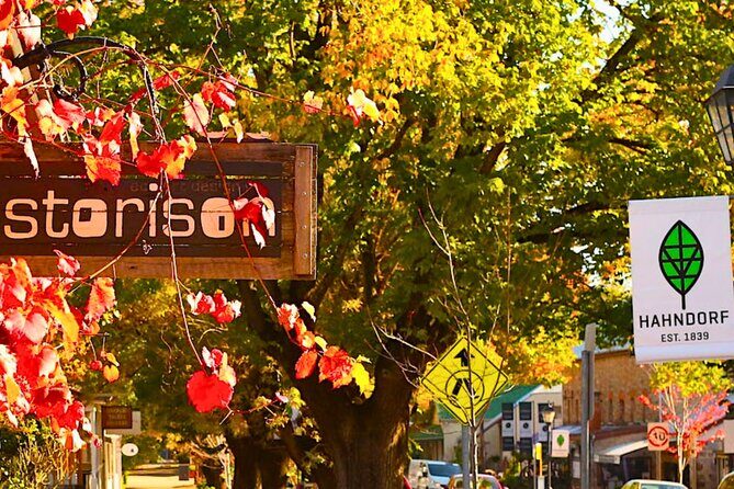 Hahndorf Hidden Gems: Full-Day Experience Join Us Tour - A Deep Dive into the Experience