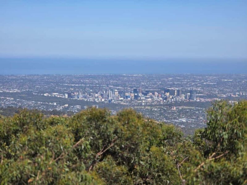 Hahndorf & Hills Full-Day Tour - Key Points