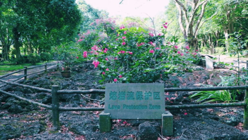 Haikou: China Leiqiong Global Geopark Entry Ticket - Value and Overall Impression