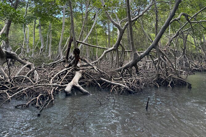Haitian National Park and fell up - Discovering the Best of Dominican Nature and Culture: The Haitian National Park and Cayo Levantado Tour