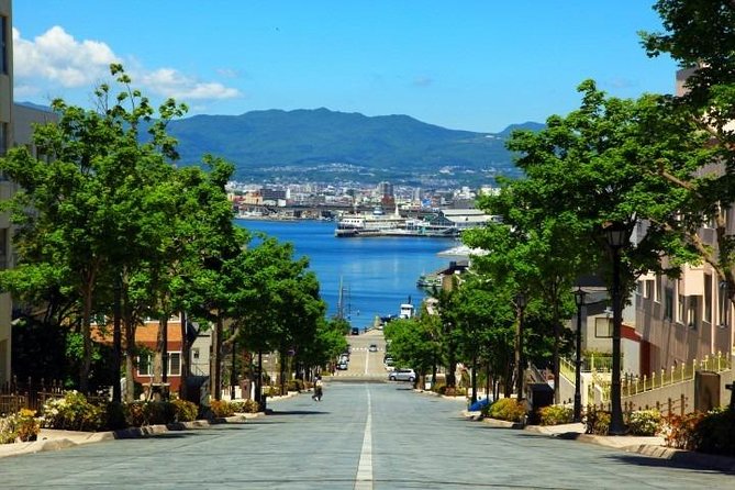 Hakodate 4hr Private Tour With Government-Licensed Guide - Accessibility and Group Size
