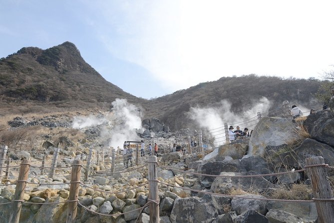 Hakone 6 Hour Private Tour With Government-Licensed Guide - Transportation Arrangements