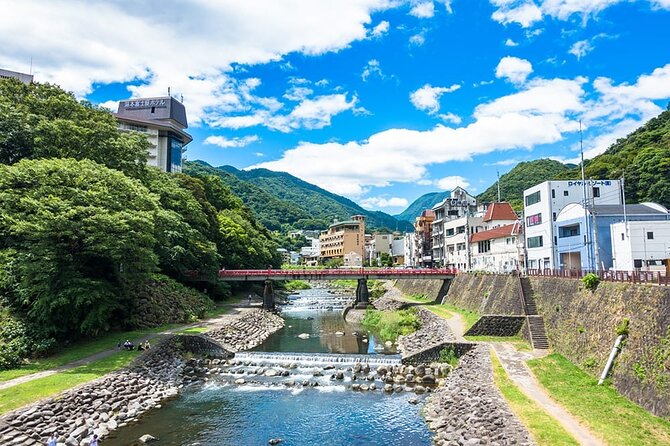 Hakone 8 Hour Private Tour With Government-Licensed Guide - Preparing for the Tour