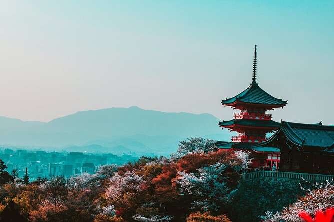 Hakone and Mt. Fuji Day Trip With Private Vehicle - Inclusions and Exclusions