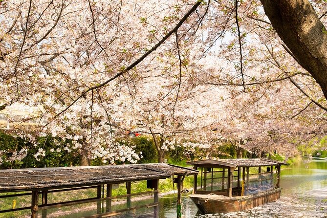 Hakone and Mt. Fuji Day Trip With Private Vehicle - Pickup and Drop-off Details