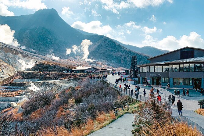 Hakone and Mt. Fuji Day Trip With Private Vehicle - Private Tour Experience