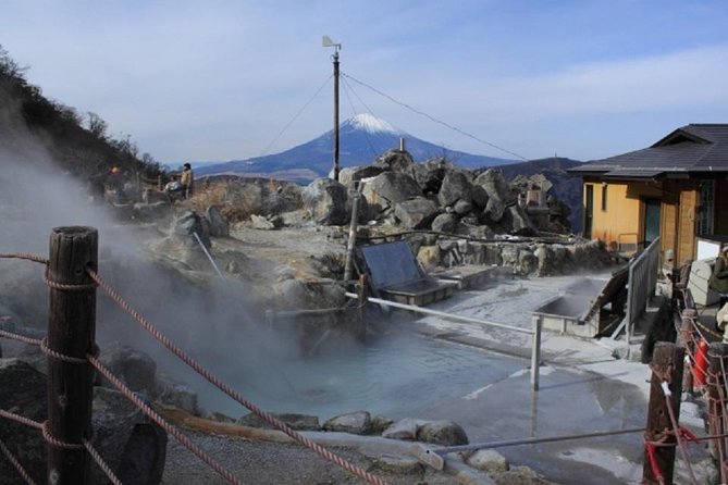 Hakone Full-Day Private Tour By Public Transportation - Booking Information