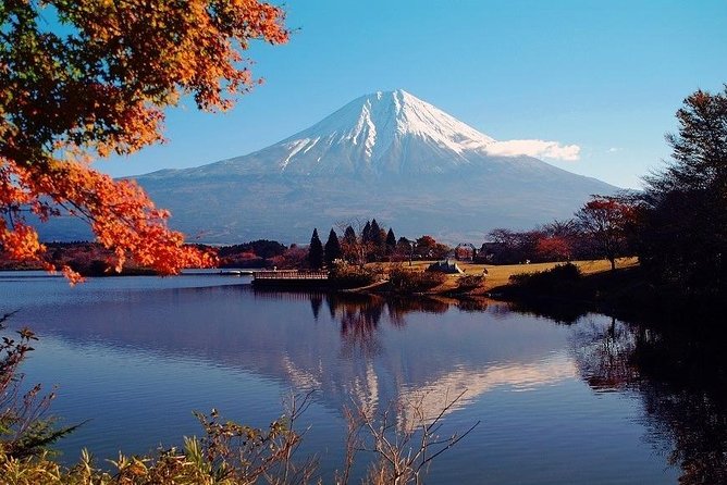 Hakone Full-Day Private Tour(Tokyo Dep.) With Government-Licensed Guide - Tour Cancellation Policy