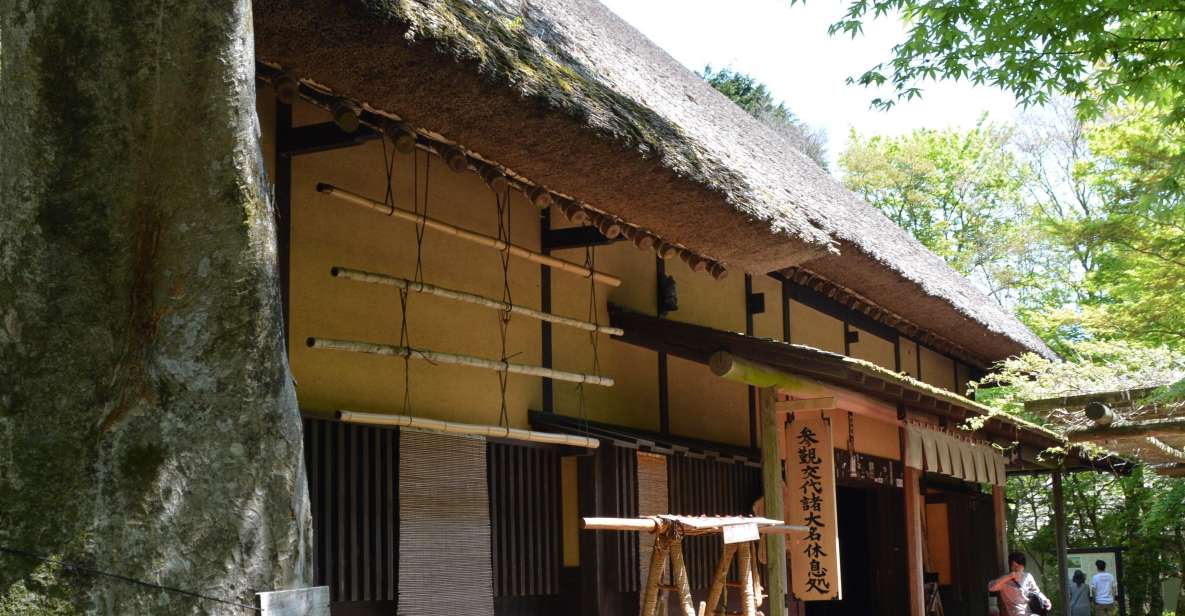 Hakone Geology & History Tour - Key Points