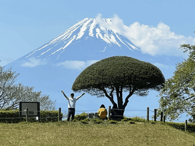 Hakone Hachiri: Old Tokaido Highway Hiking Tour - Tour Overview and Pricing