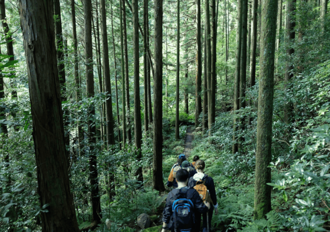 Hakone Hachiri: Old Tokaido Highway Hiking Tour - Frequently Asked Questions