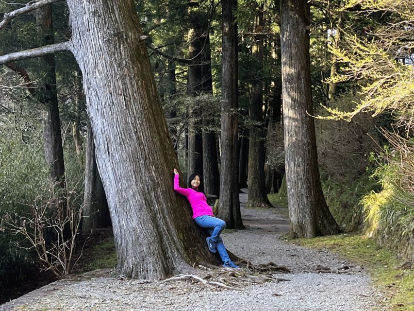 Hakone Hachiri: Old Tokaido Highway Hiking Tour - Tour Details