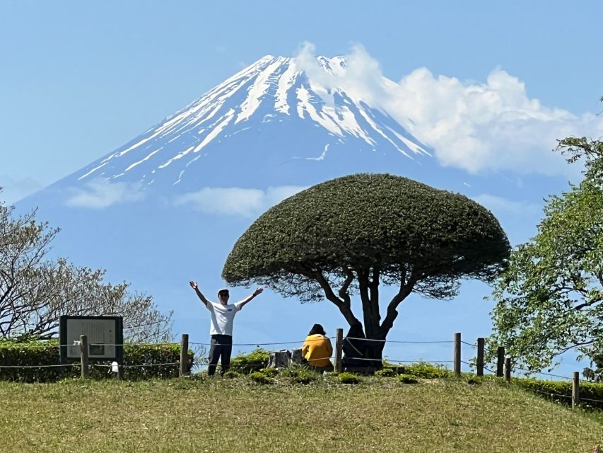 Hakone Hachiri: Old Tokaido Highway Hiking Tour - Scenic Highlights