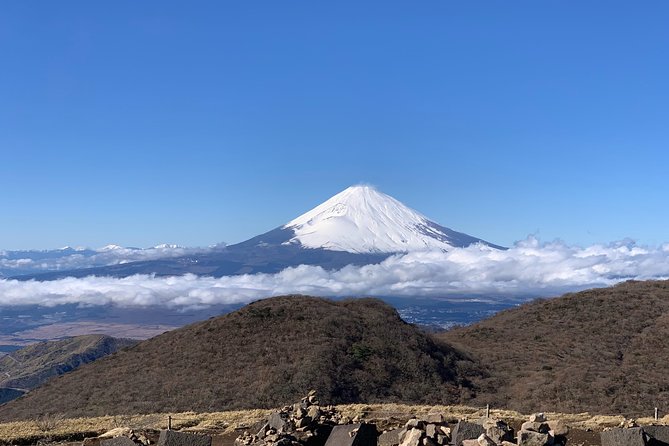Hakone Private One Day Tour From Tokyo: Mt Fuji, Lake Ashi, Hakone National Park - Transportation and Accessibility