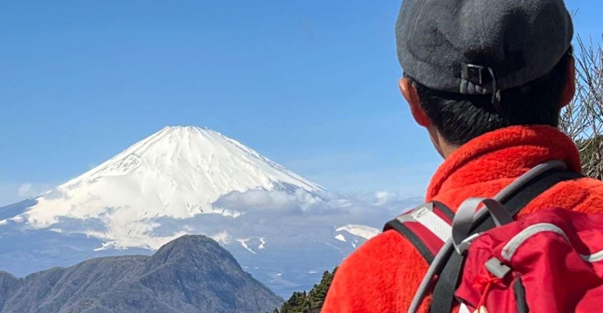 Hakone: Traverse the Hakone Caldera and Enjoy Onsen - Inclusions and Amenities
