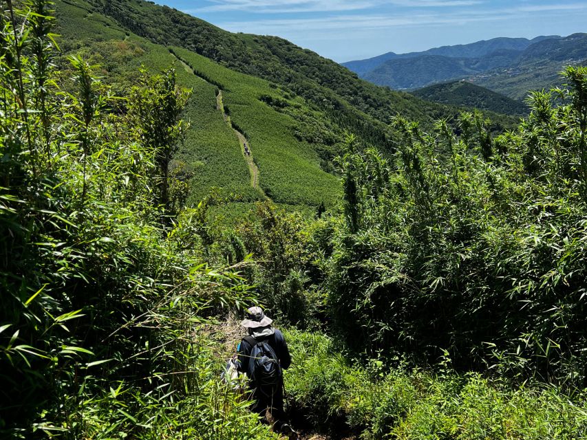 Hakone: Traverse the Hakone Caldera and Enjoy Onsen - Onsen and Relaxation