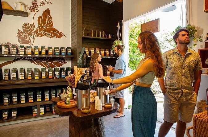 Hala Tree Coffee Farm Tour - The Guided Stroll Through Coffee Orchards