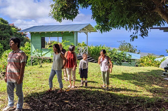 Hala Tree Coffee Farm Tour - Learning About Coffee Production