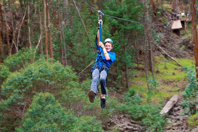 Haleakala 5 Line Zipline Adventure - Highlights and Inclusions