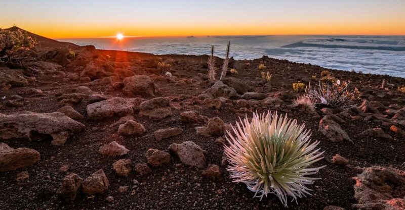Haleakalā: Discover Volcanic Wonders Driving Tour - Key Attractions and Learning Opportunities