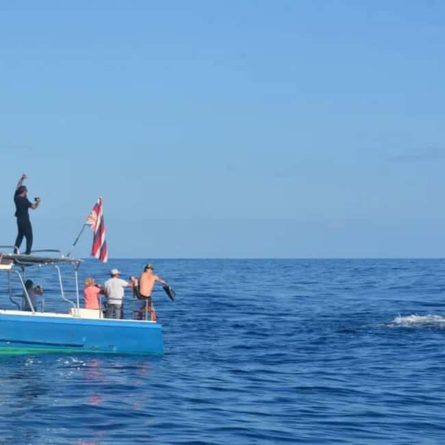 Haleiwa: North Shore Whale Watching Tour by Catamaran - What to Expect from the Whale Watching Tour