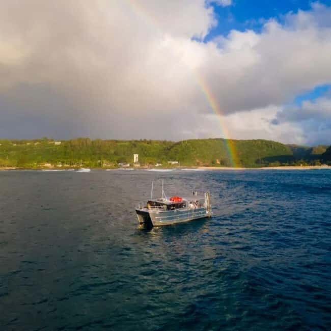 Haleiwa: North Shore Whale Watching Tour by Catamaran - The Itinerary in Detail