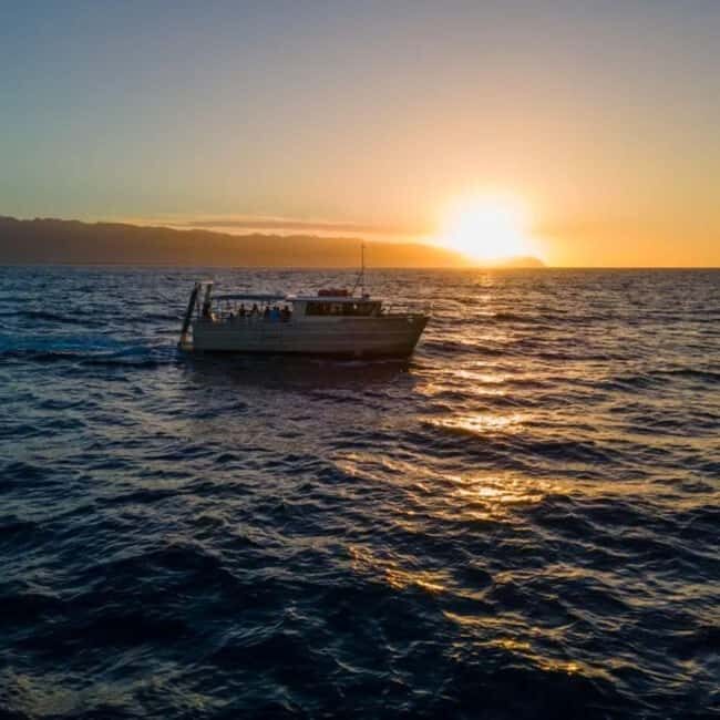 Haleiwa: North Shore Whale Watching Tour by Catamaran - FAQ