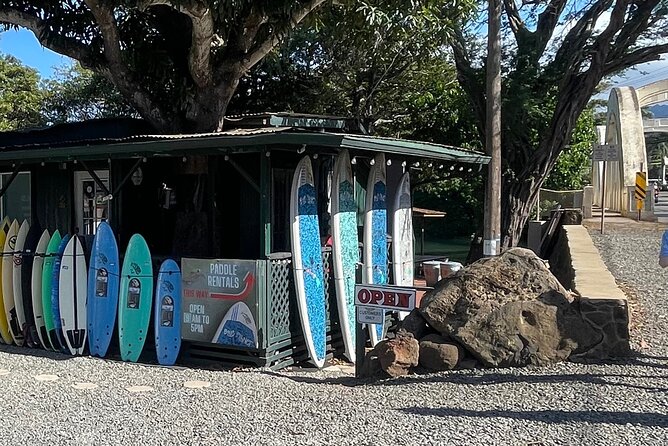 Haleiwa River Paddle Board Rental With Blue Planet Adventure Co. - Customer Feedback and Sentiment