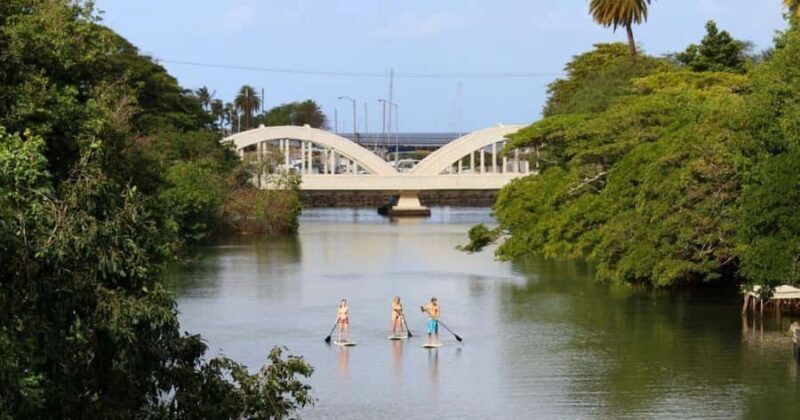 Haleiwa: Stand-Up Paddleboard Rental With Delivery & Pick Up - The Sum Up