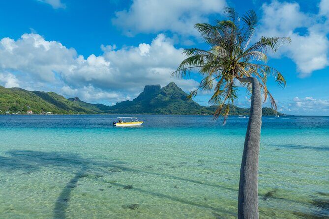 Half a day to discover Bora Bora with O-sea - Key Points